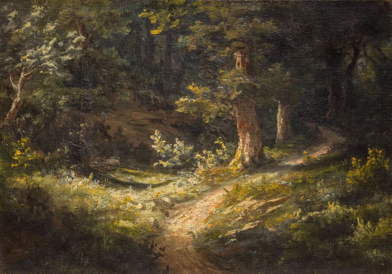 Musée des Amériques