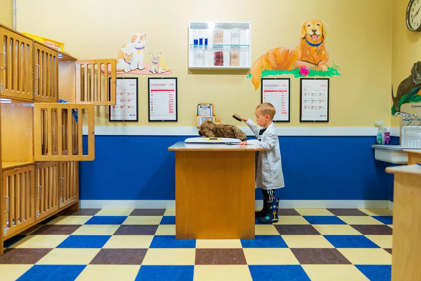 Hands On Children's Museum