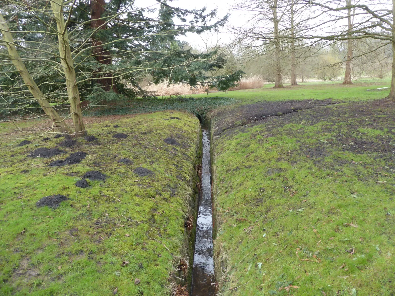 Arboretum de la Vallée-aux-Loups