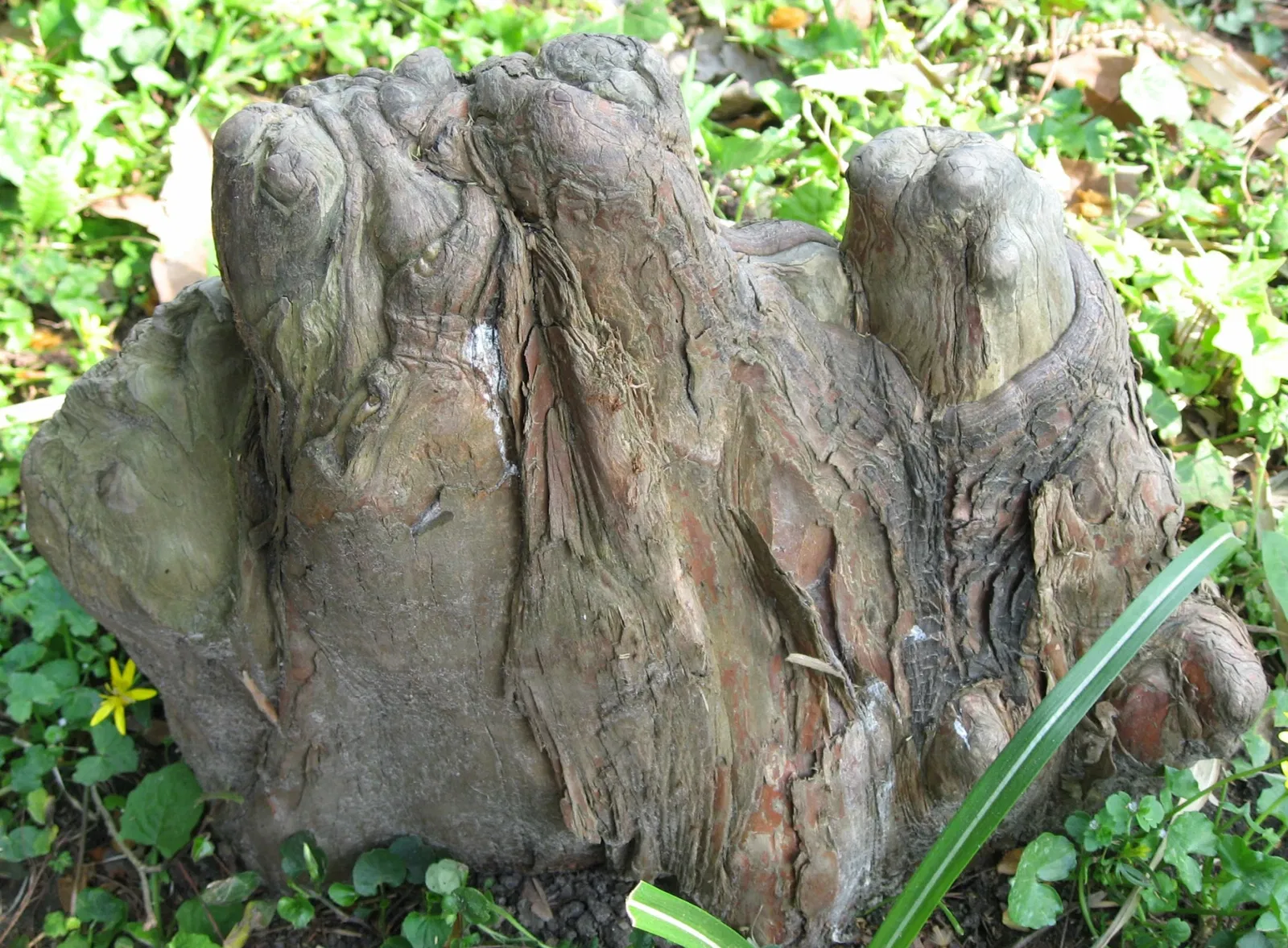 Arboretum de la Vallée-aux-Loups