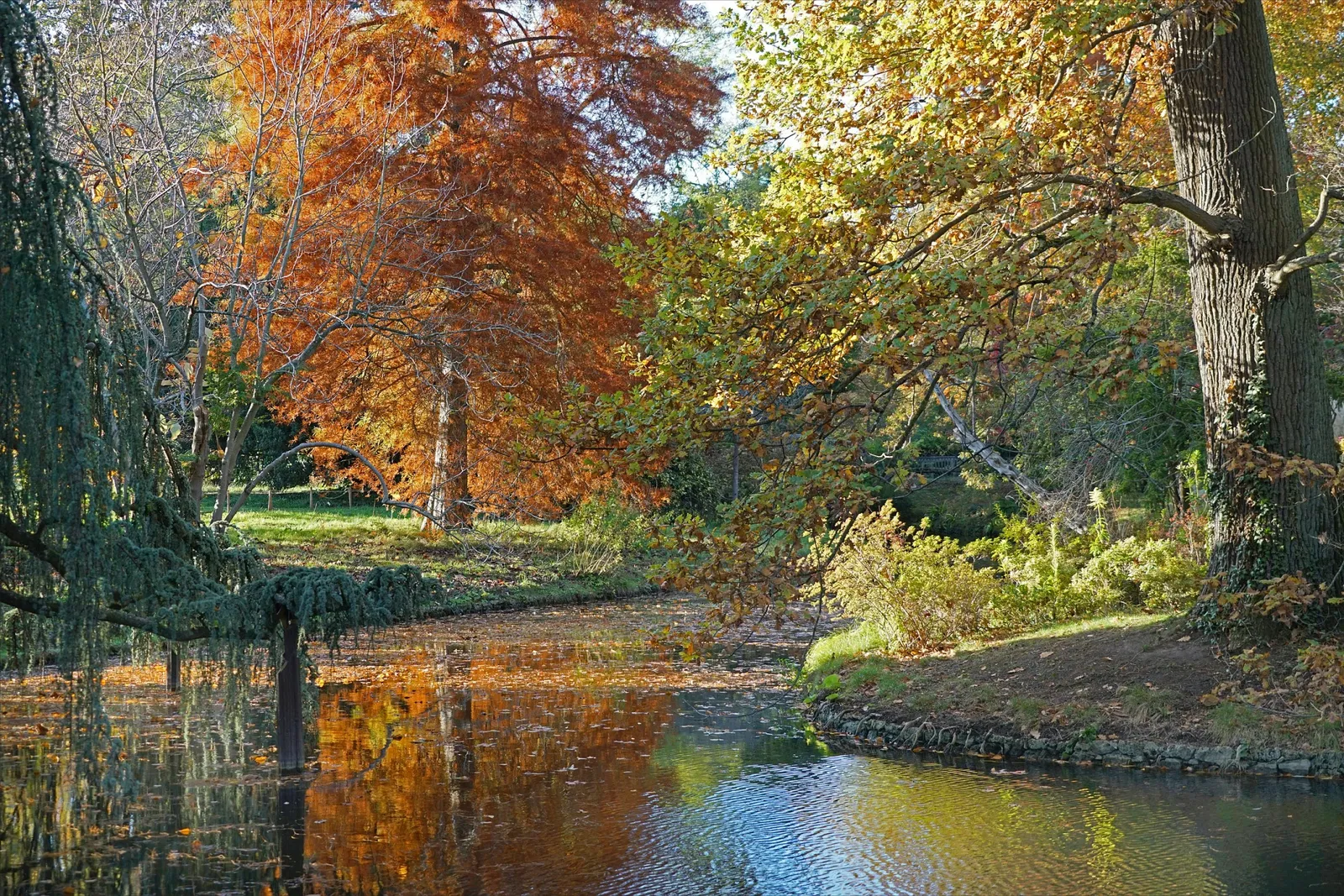 Arboretum de la Vallée-aux-Loups