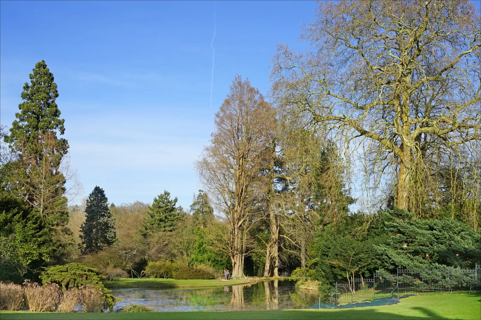 Arboretum de la Vallée-aux-Loups