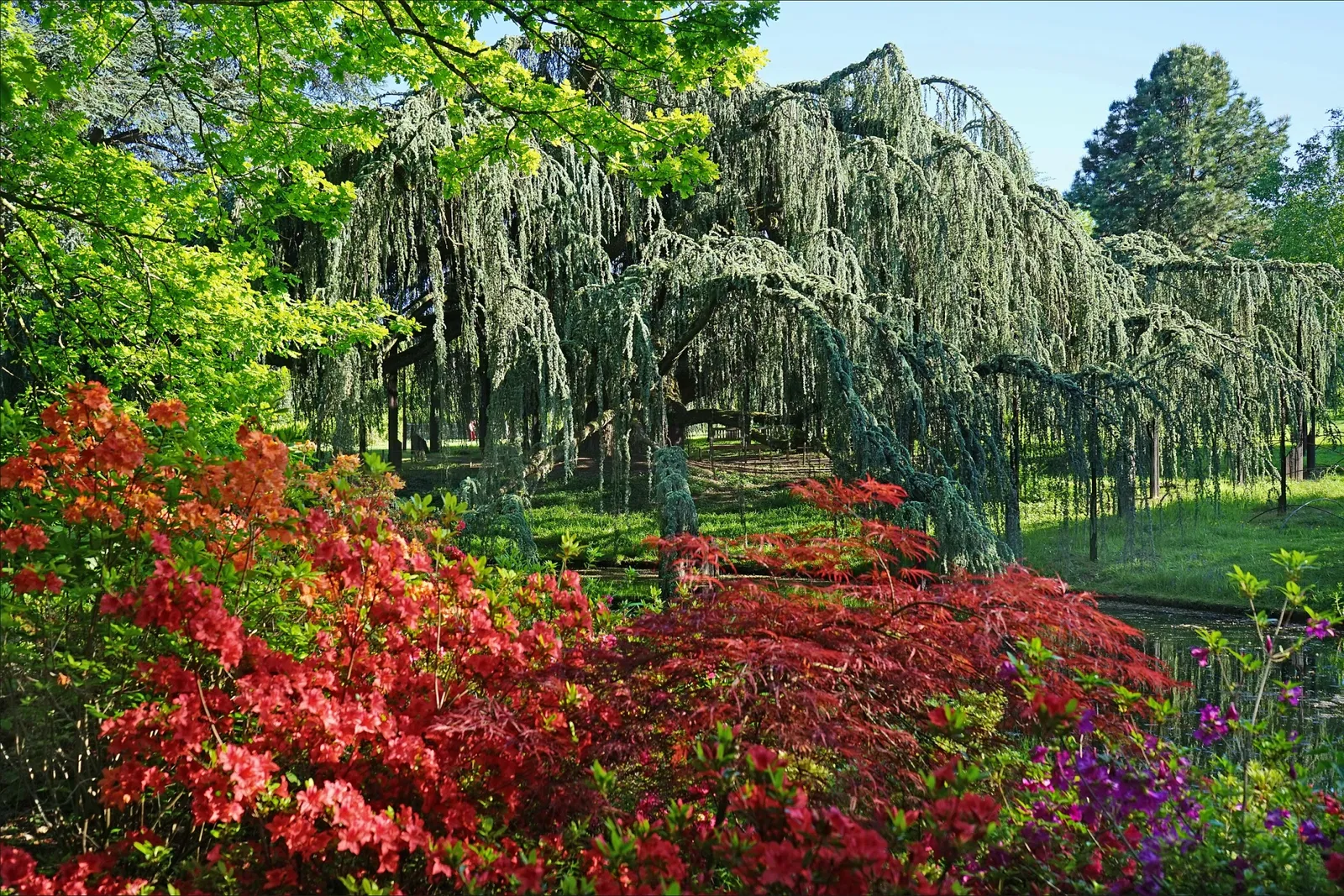 Arboretum de la Vallée-aux-Loups