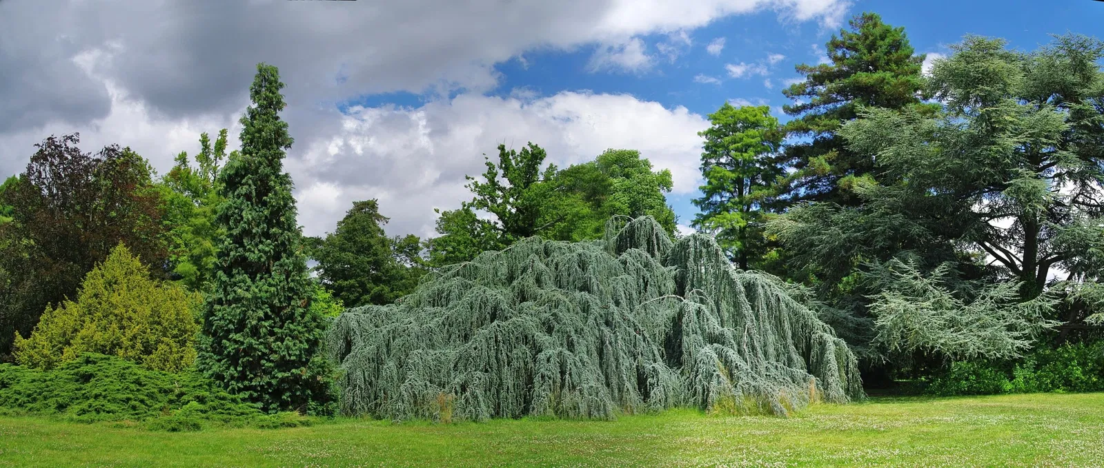 Arboretum de la Vallée-aux-Loups