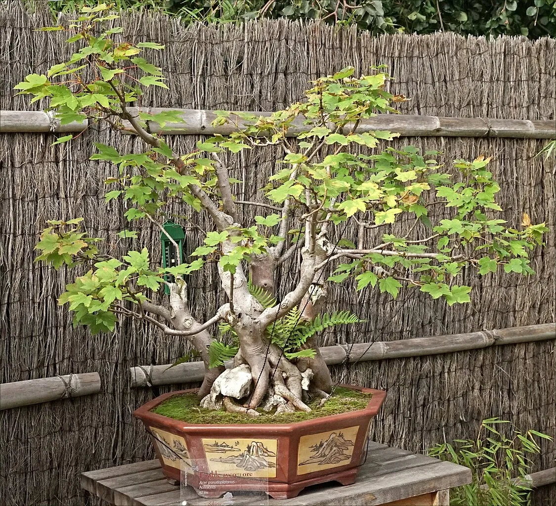 Arboretum de la Vallée-aux-Loups