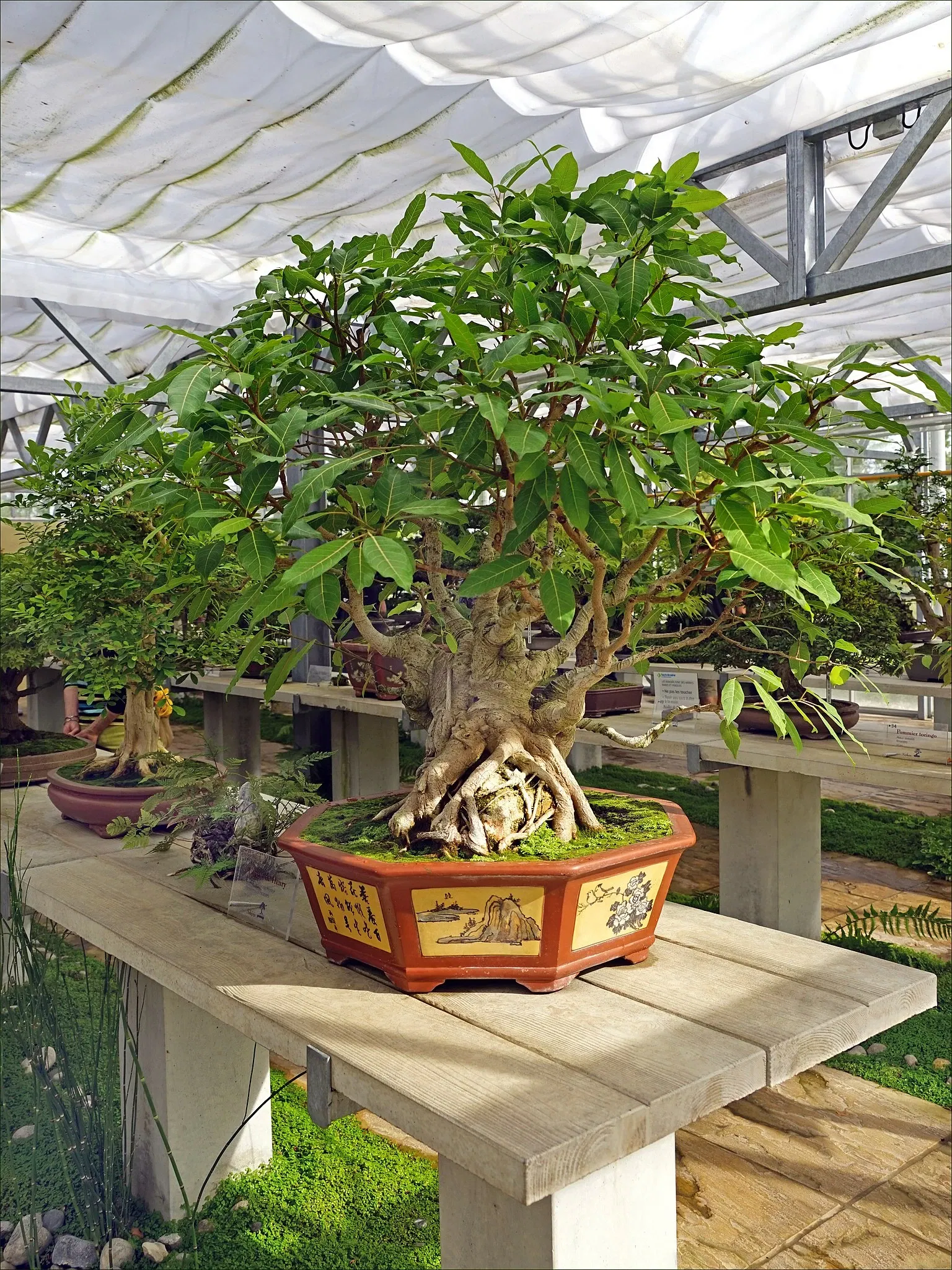 Arboretum de la Vallée-aux-Loups