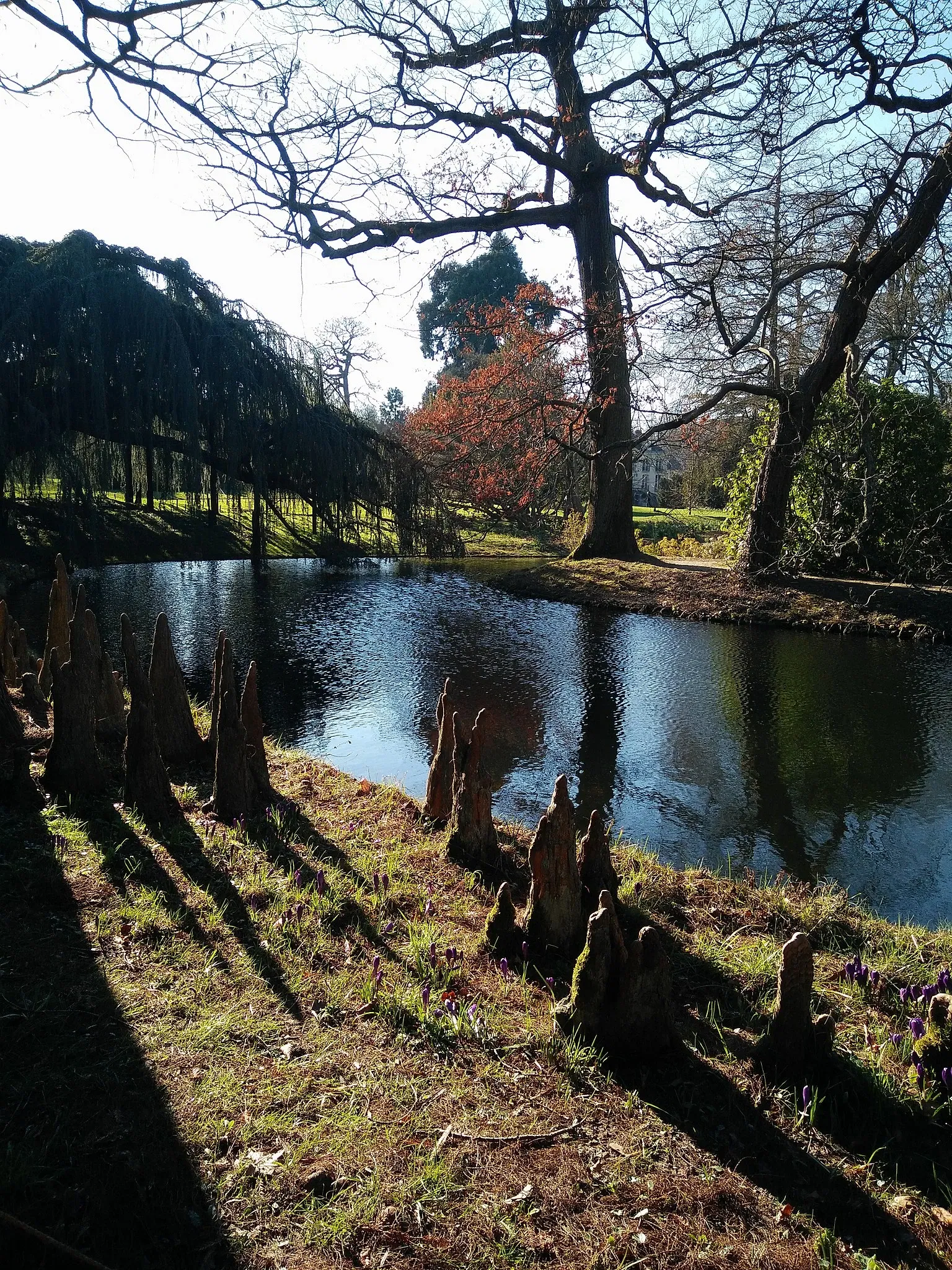 Arboretum de la Vallée-aux-Loups