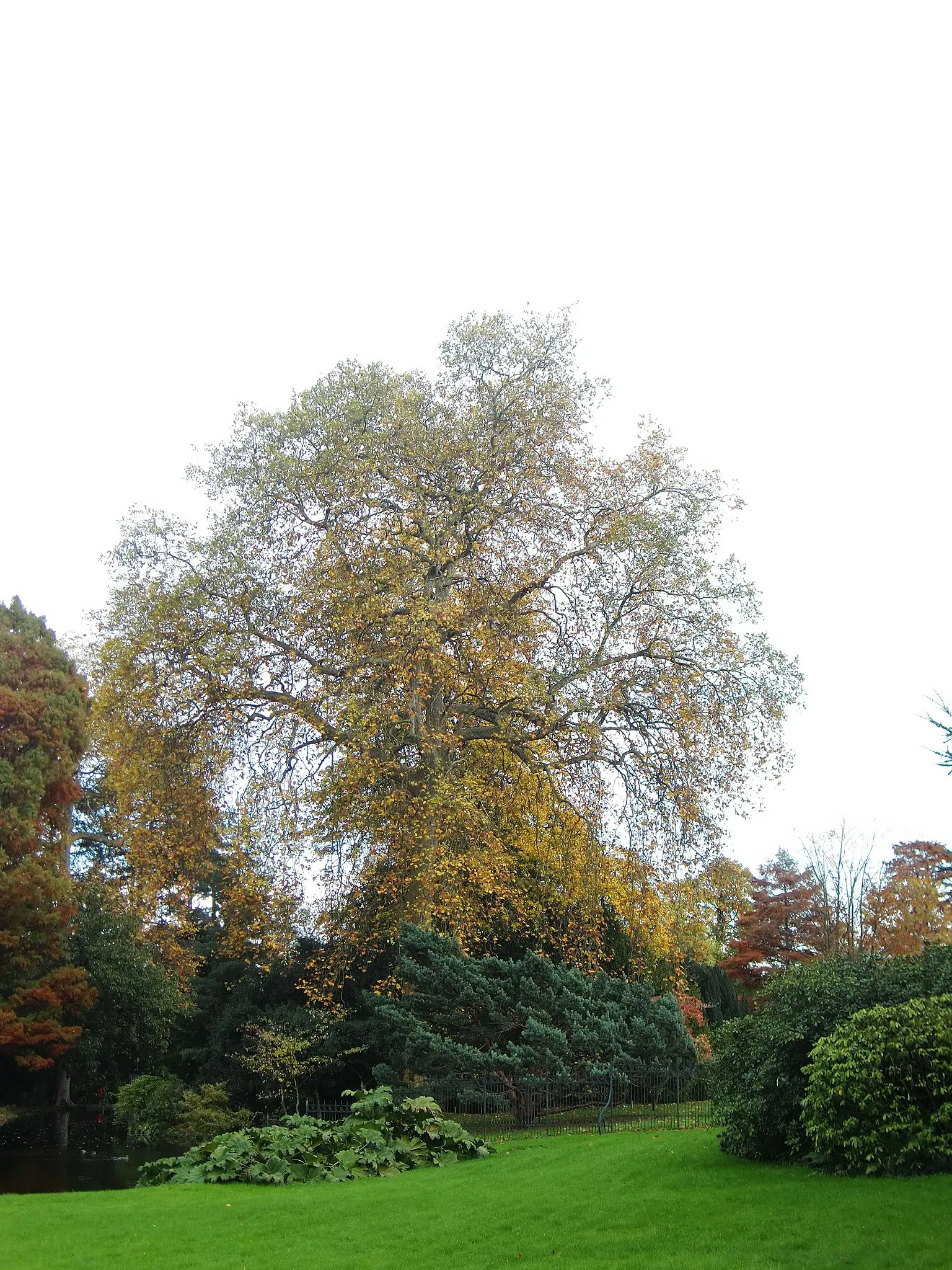 Arboretum de la Vallée-aux-Loups