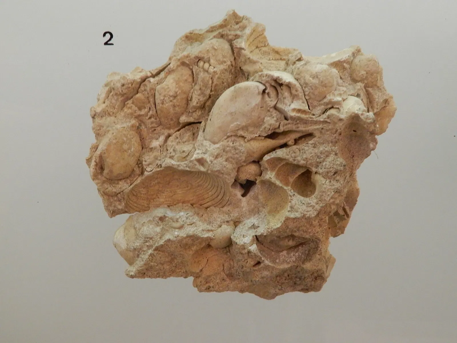 Archaeological Museum of Val d'Oise