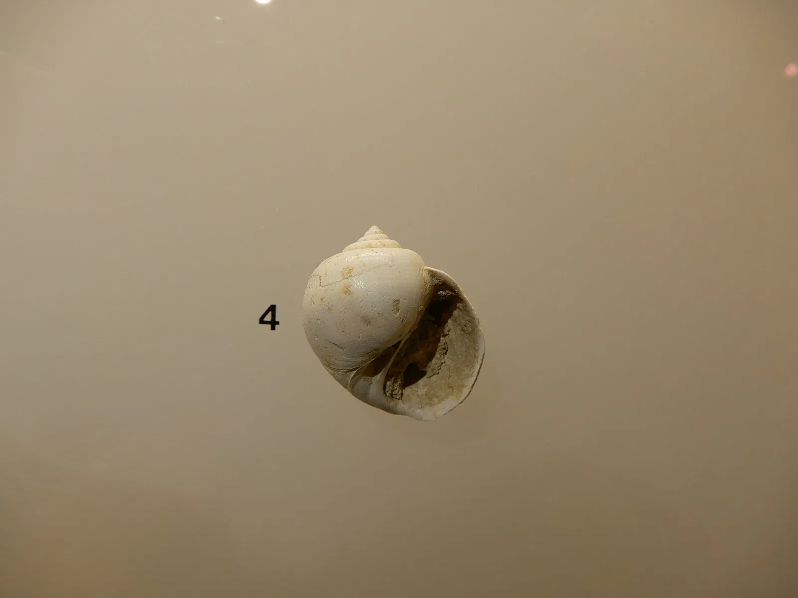 Archaeological Museum of Val d'Oise