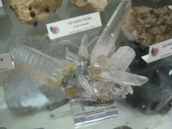 Museo Paleontologico Scienze della Terra del GAMPS