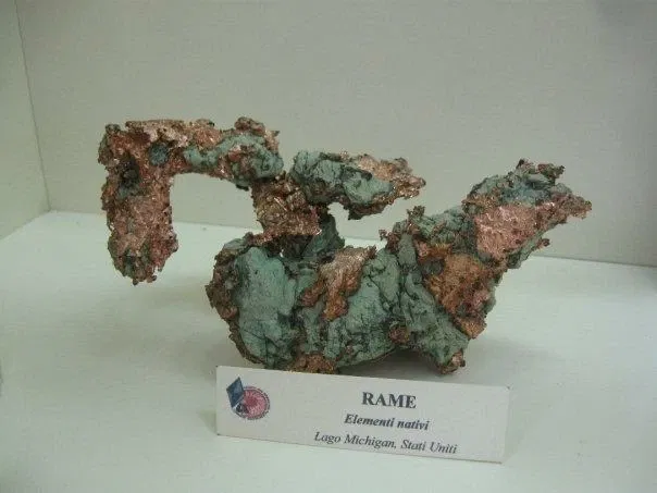 Museo Paleontologico Scienze della Terra del GAMPS