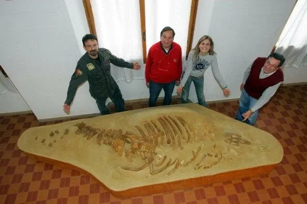 Museo Paleontologico Scienze della Terra del GAMPS