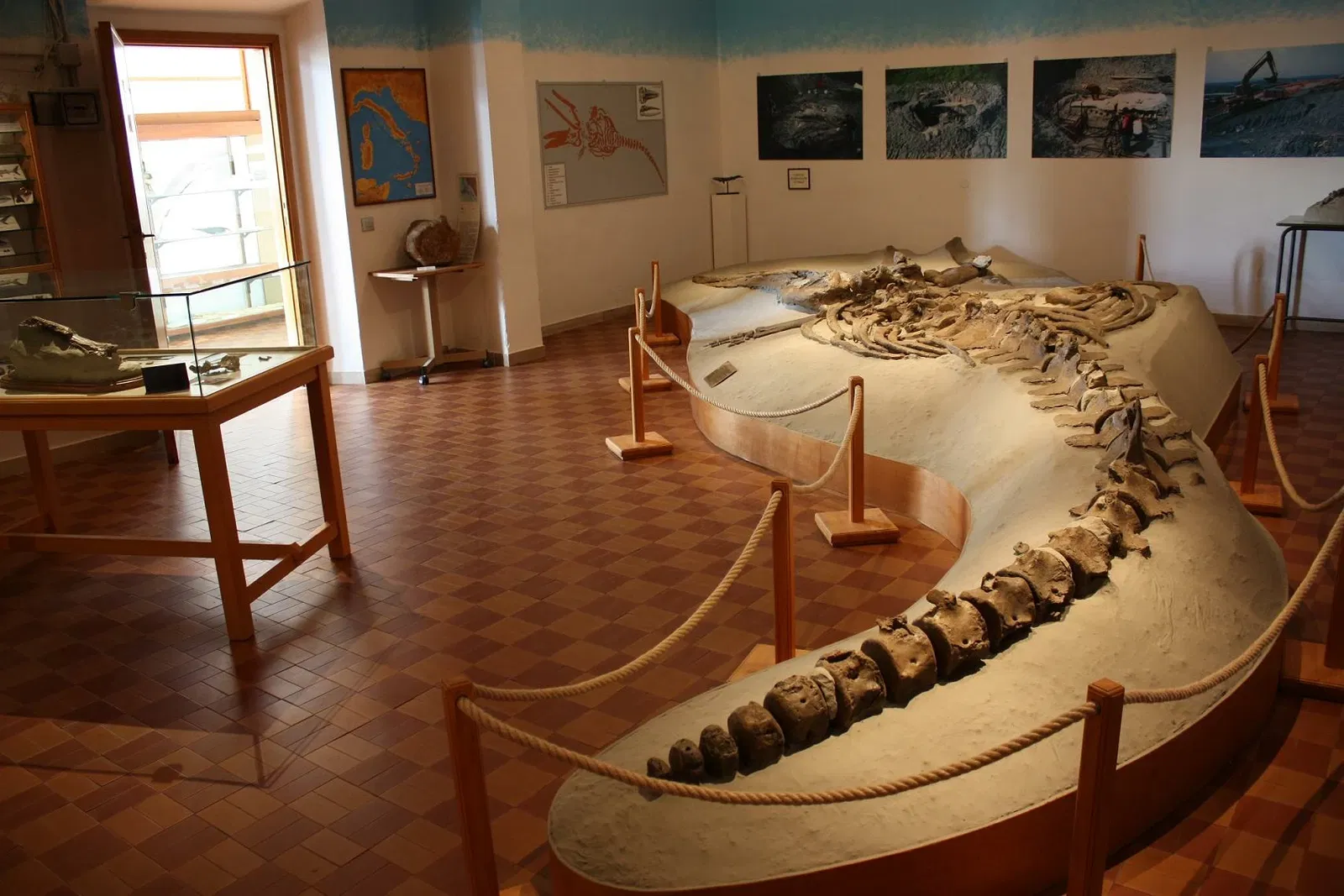 Museo Paleontologico Scienze della Terra del GAMPS