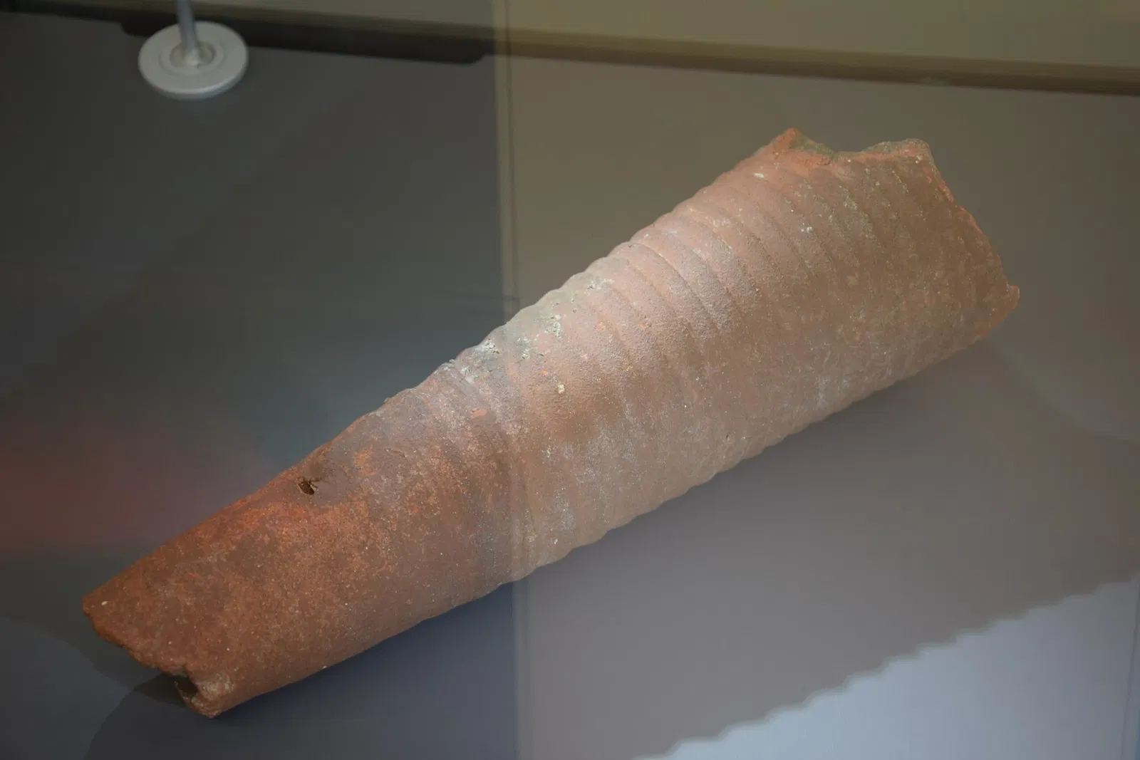 Musée Archéologique de l'Oise