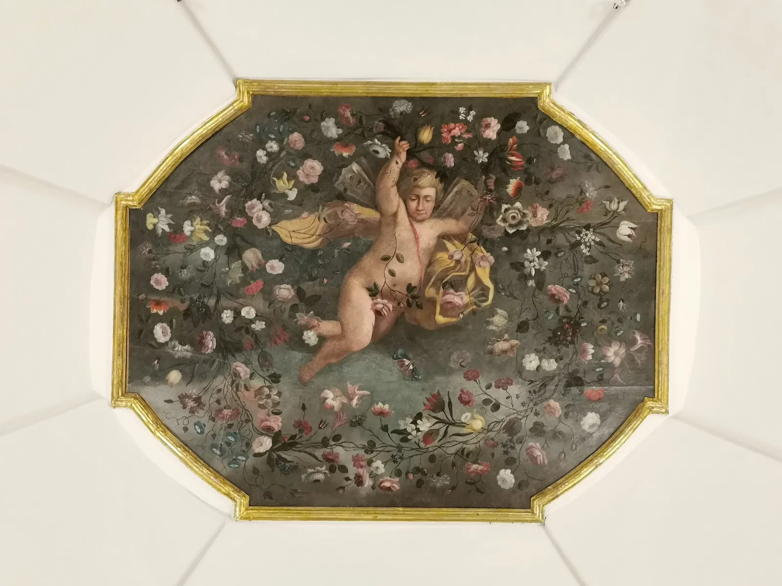 Museo Archeologico Nazionale del Melfese Massimo Pallottino