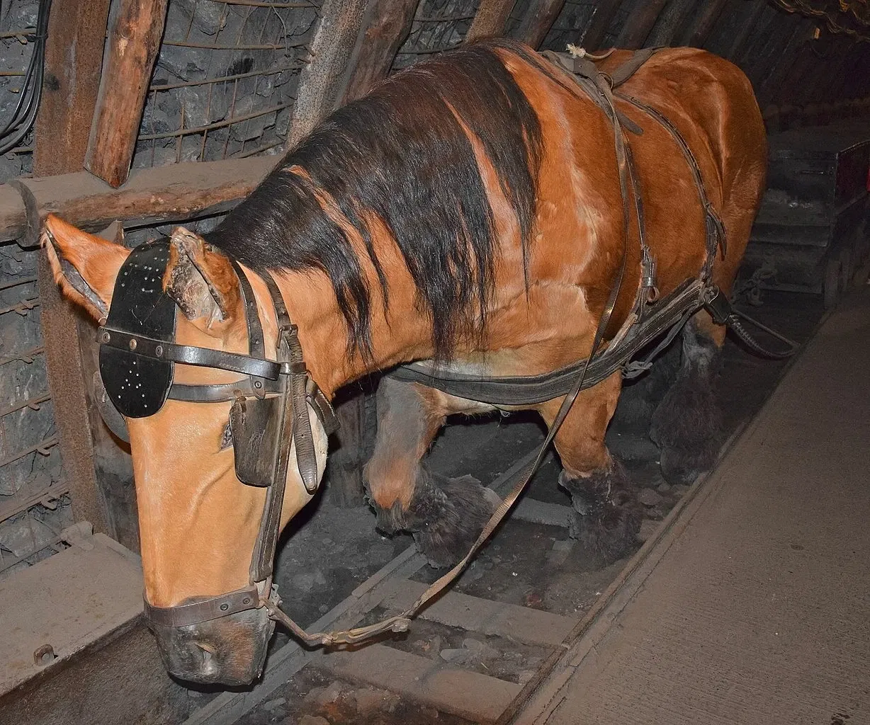 Mining History Centre