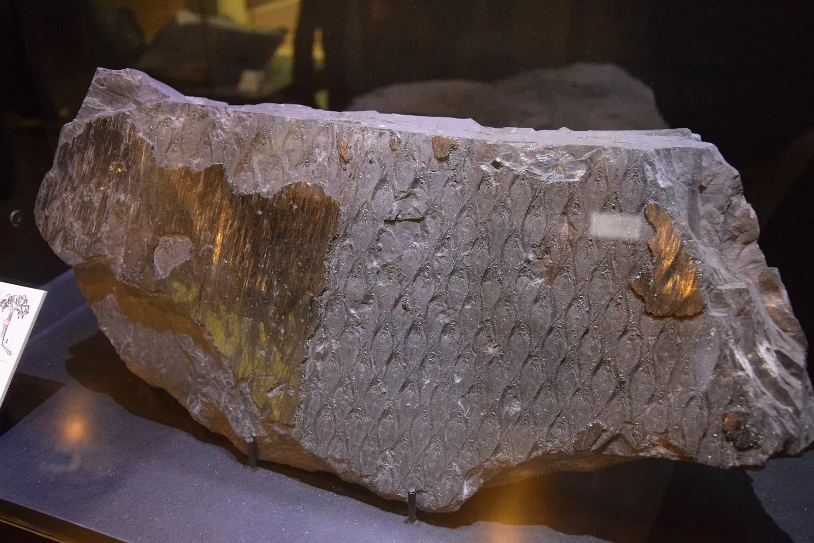 Centre Historique Minier de Lewarde