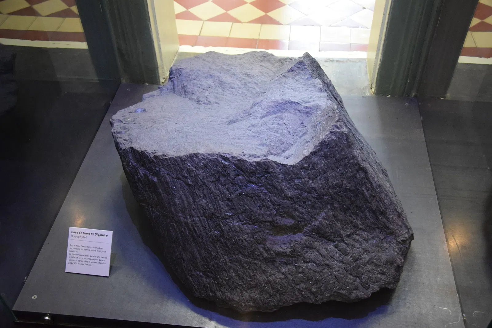 Mining History Centre