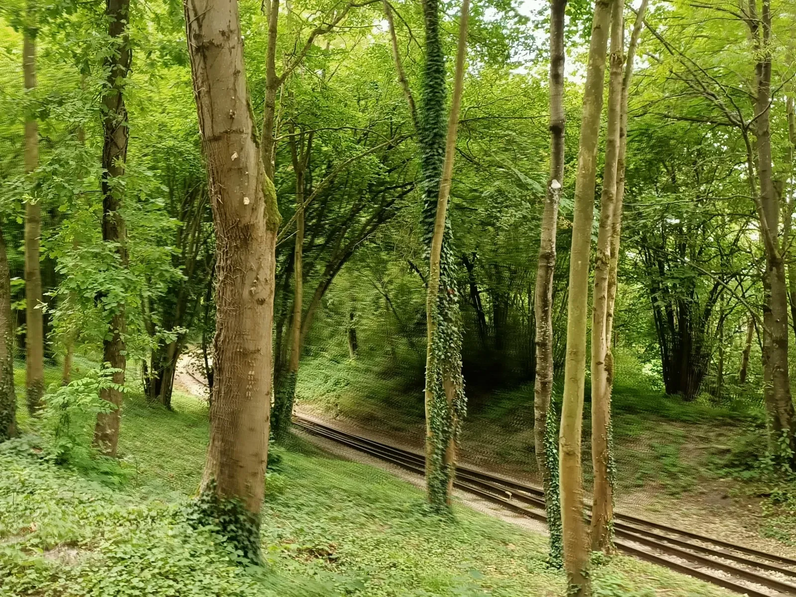 P'tit Train de la Haute Somme