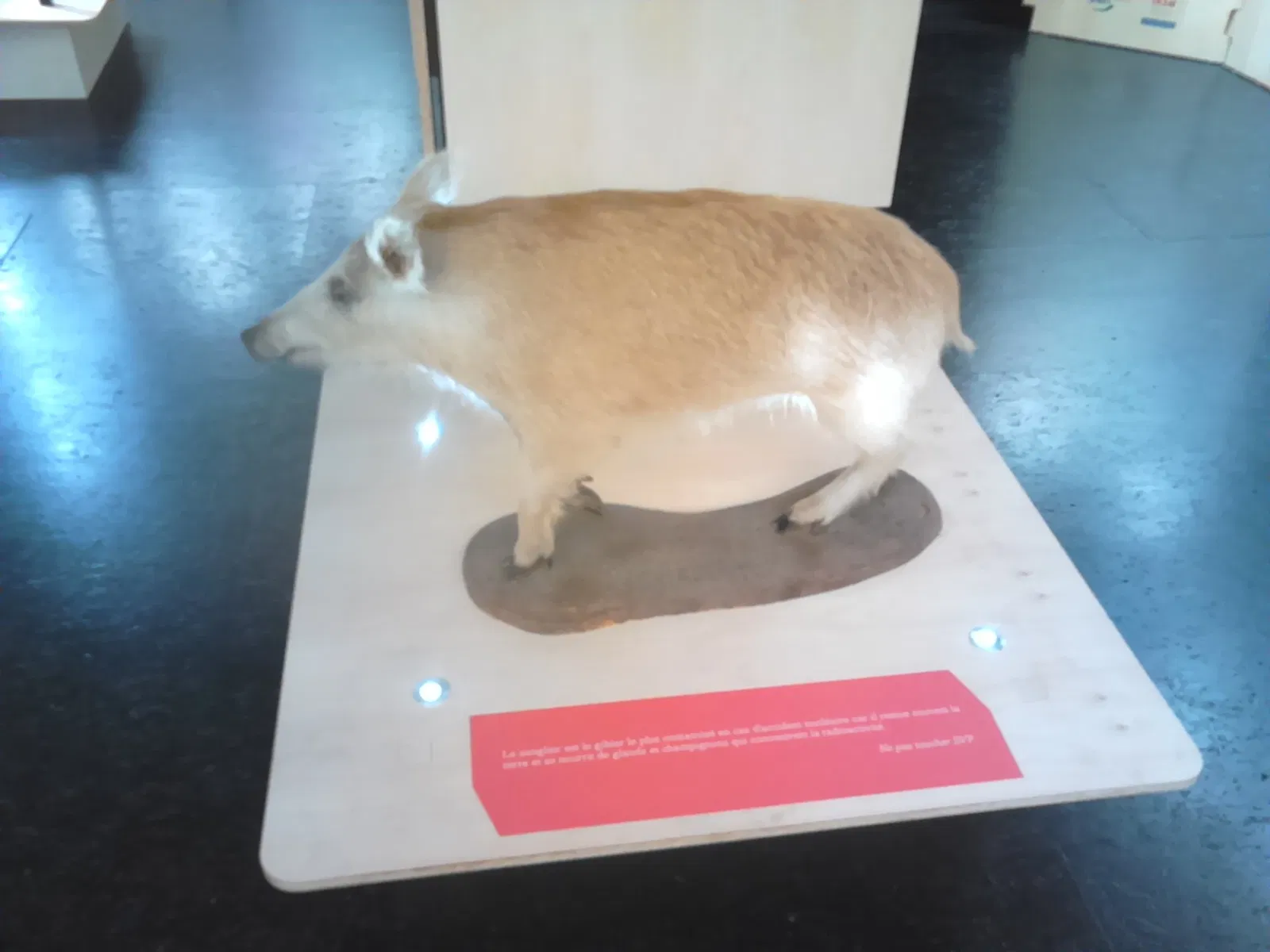 Palais de l'Univers et des Sciences