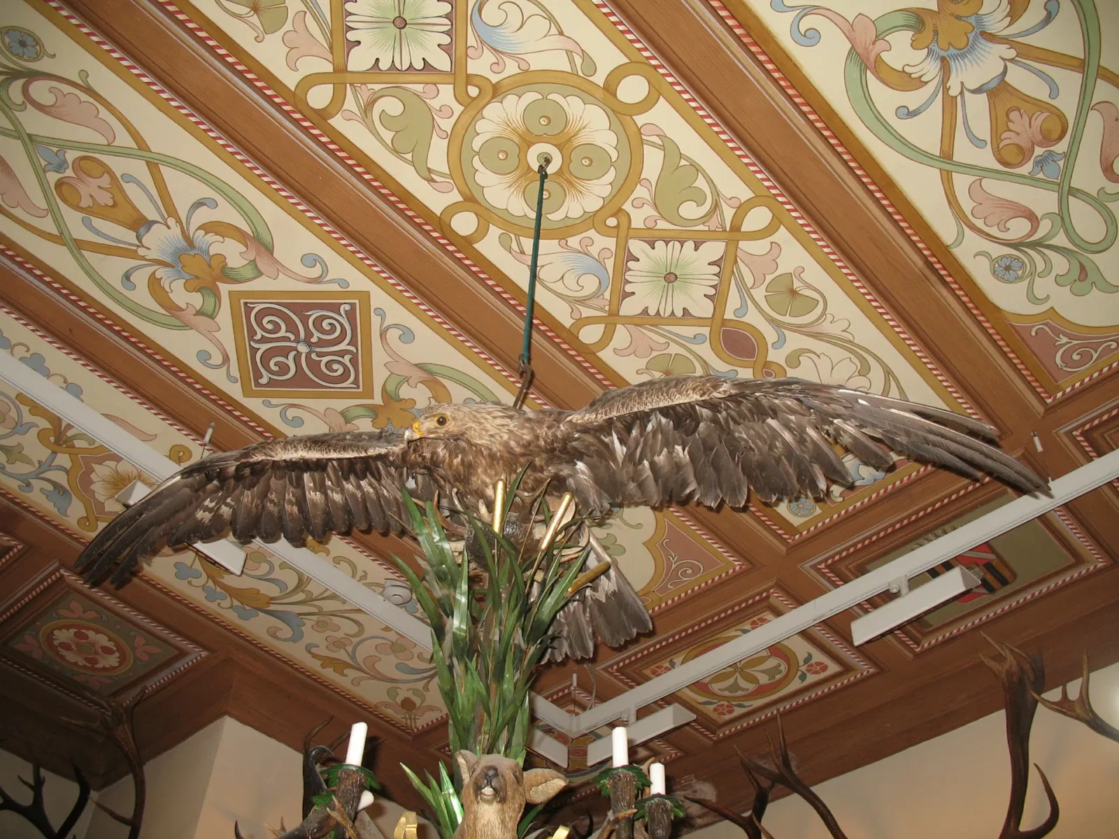 Musée régional de la faune alpine