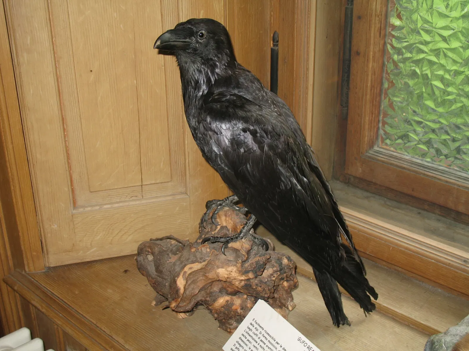 Alpenfaunamuseum Beck Peccoz- Museo Regionale della Fauna Alpina