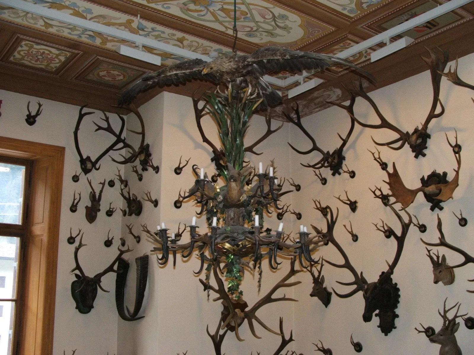 Alpenfaunamuseum Beck Peccoz- Museo Regionale della Fauna Alpina