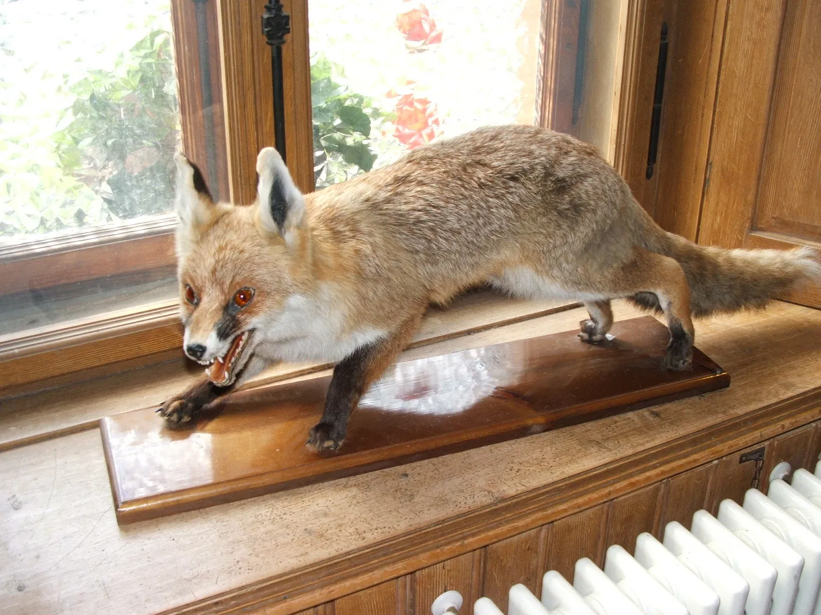 Alpenfaunamuseum Beck Peccoz- Museo Regionale della Fauna Alpina