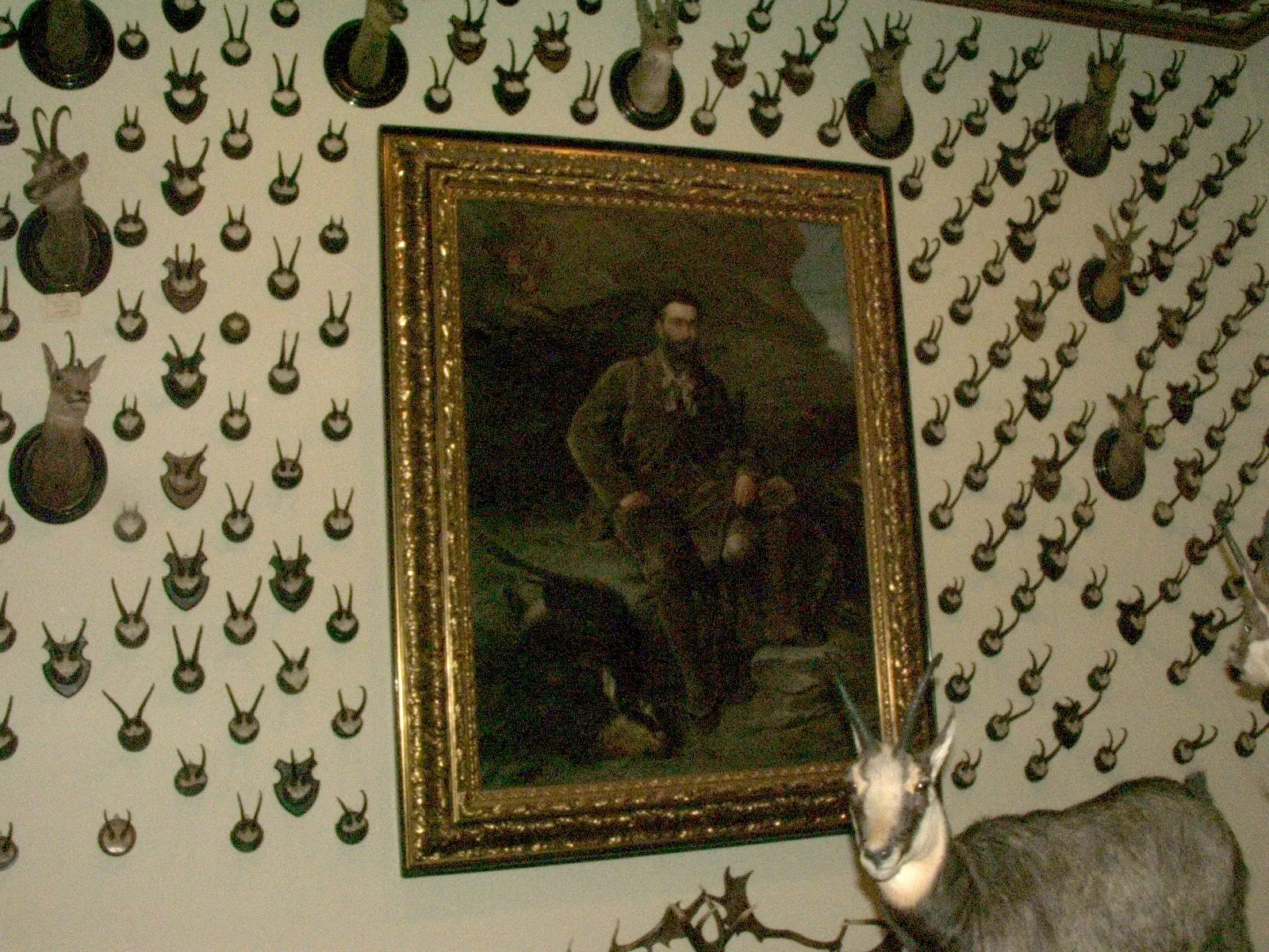 Alpenfaunamuseum Beck Peccoz- Museo Regionale della Fauna Alpina