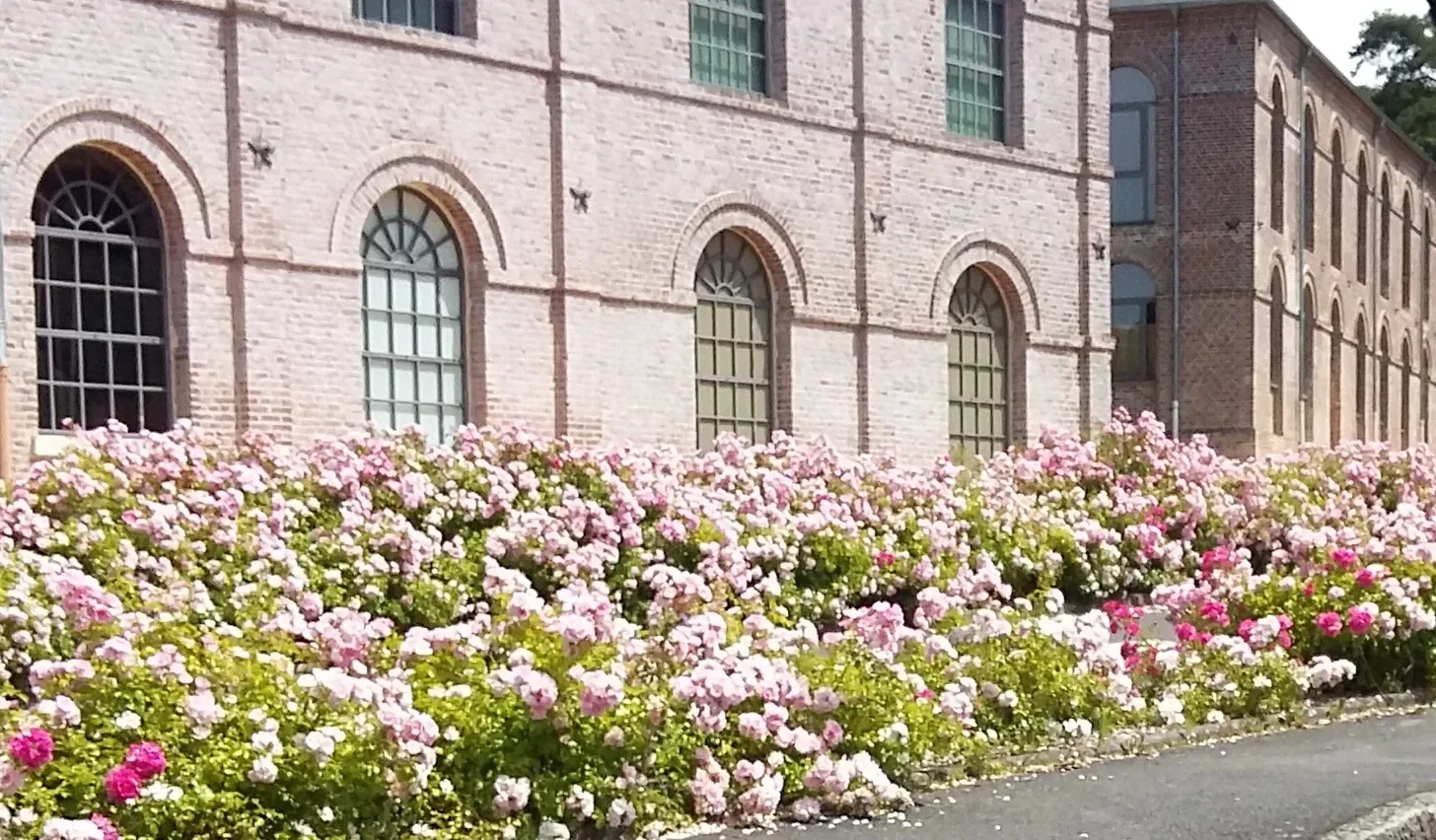 Musée de la Nacre et de la Tabletterie