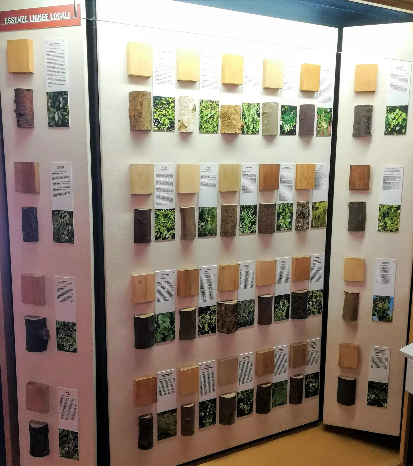 Museo Etnografico sulla Lavorazione del Legno