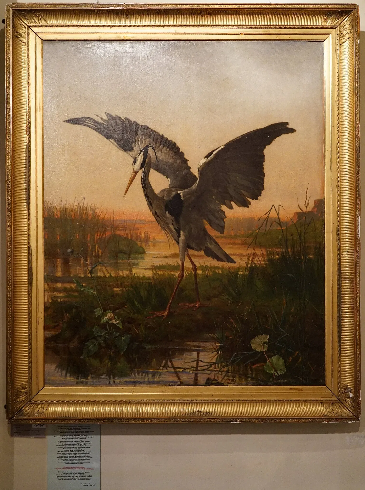 Jean de La Fontaine Museum