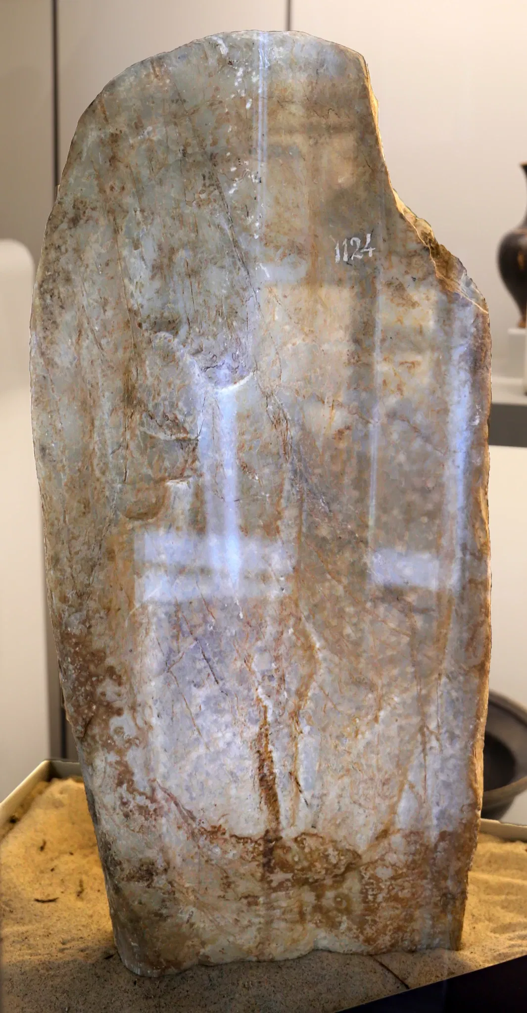 Museo Archeologico Nazionale di Castiglioncello