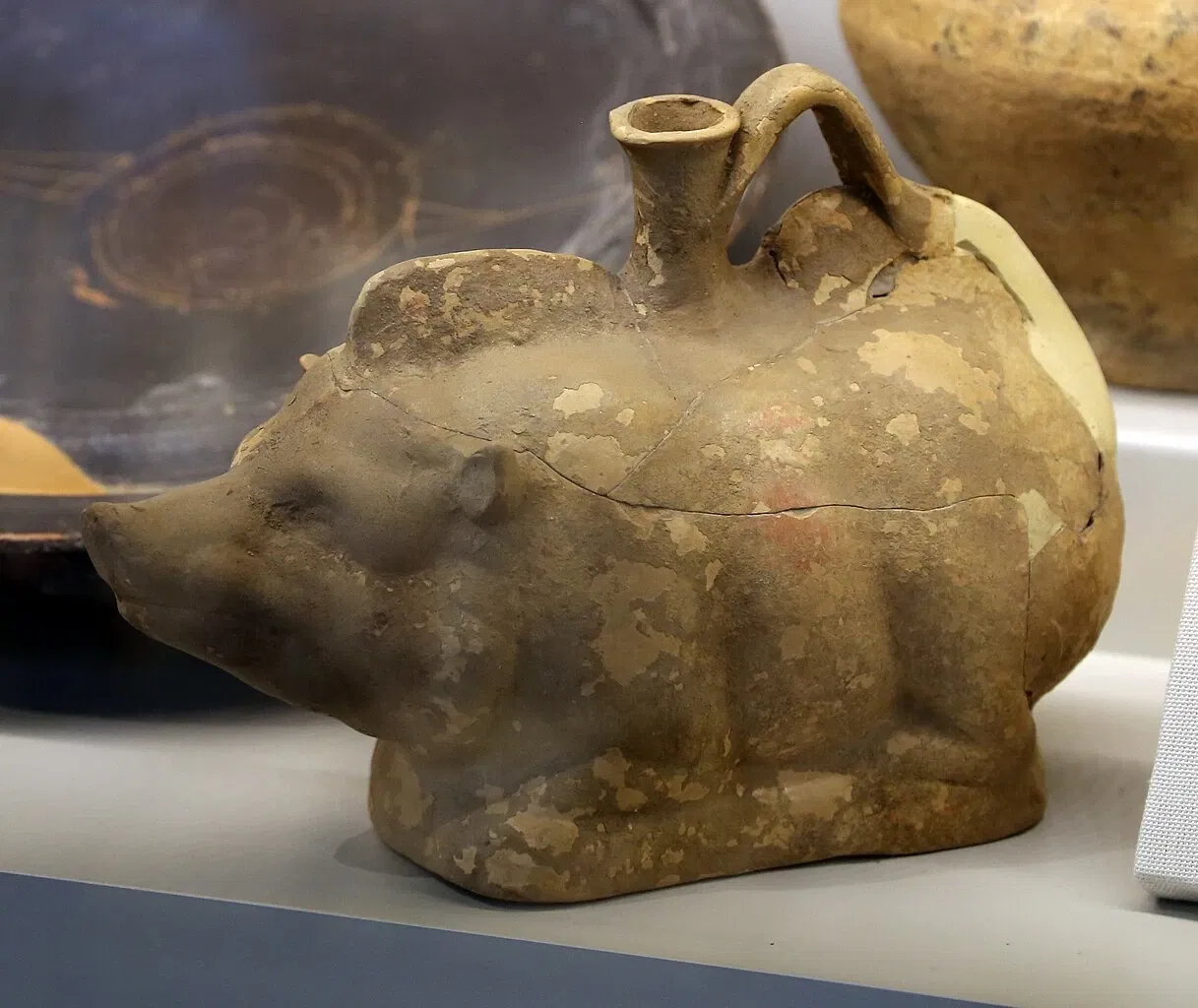 Museo Archeologico Nazionale di Castiglioncello