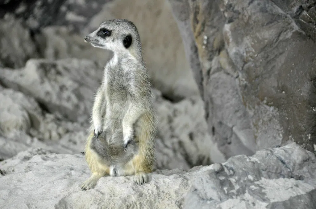 Tropicarium Kolmården