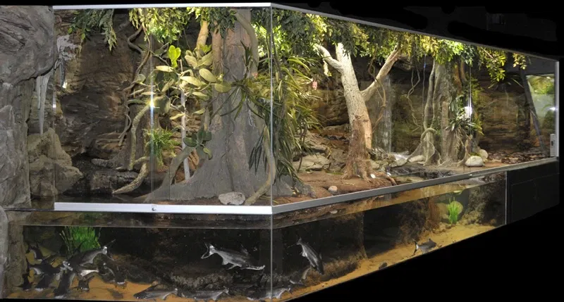 Tropicarium Kolmården