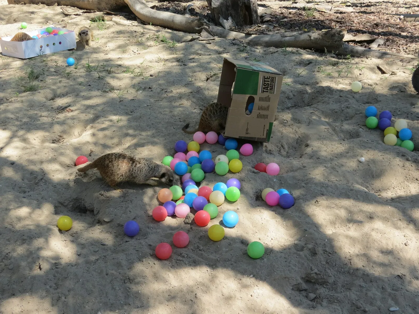 Punta Verde Zoo Park