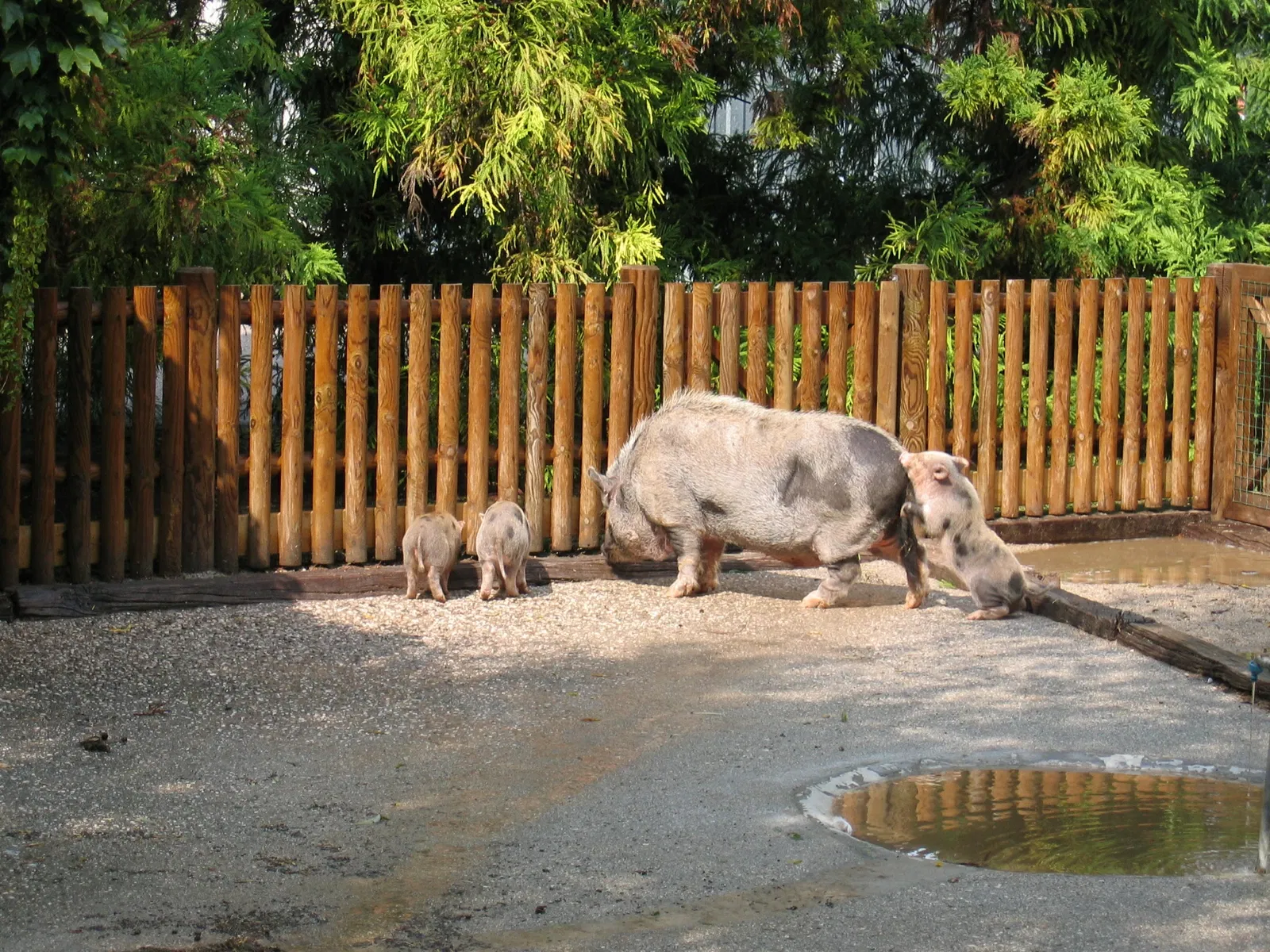 Parco Zoo Punta Verde