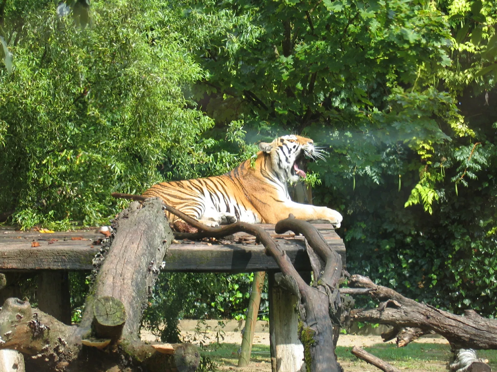 Parco Zoo Punta Verde