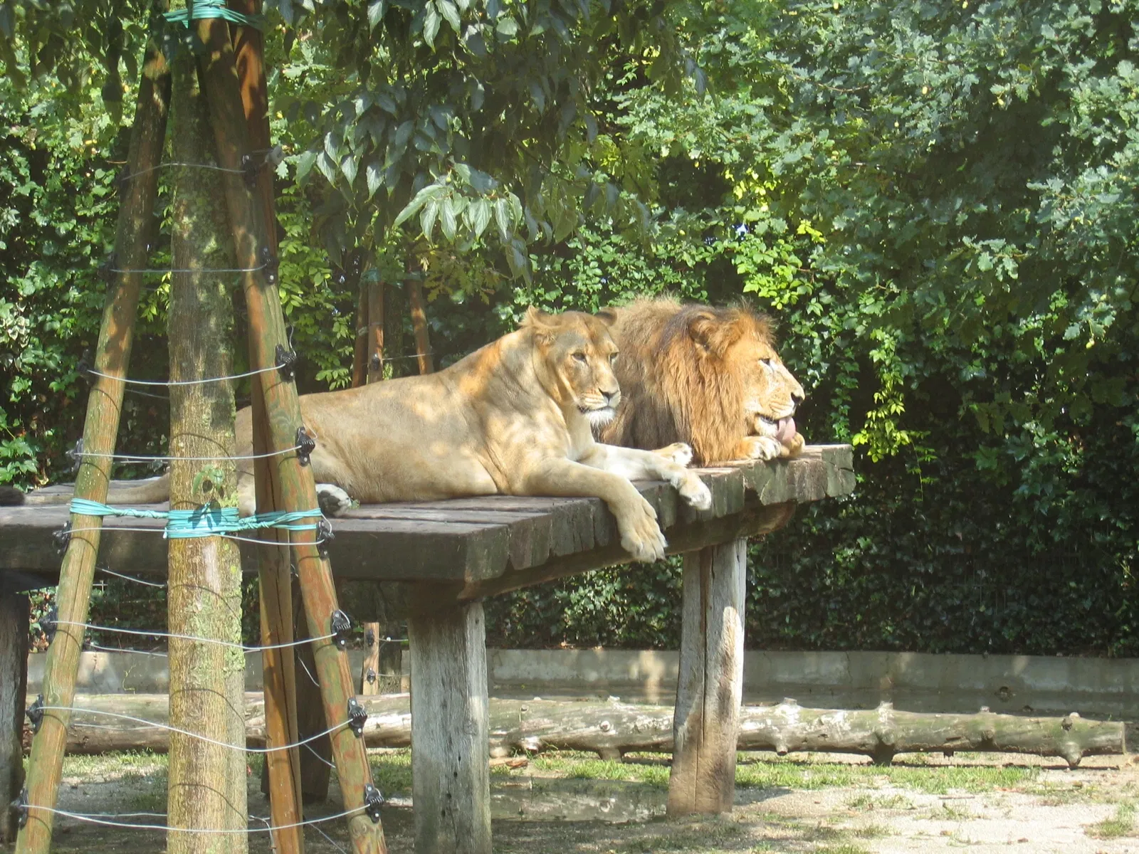 Punta Verde Zoo Park