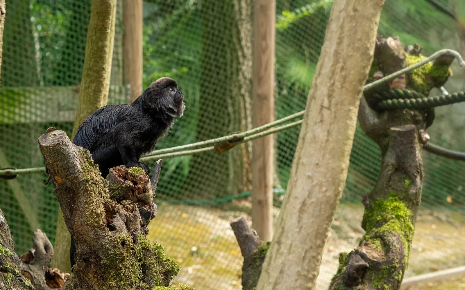 Parco Zoo Punta Verde