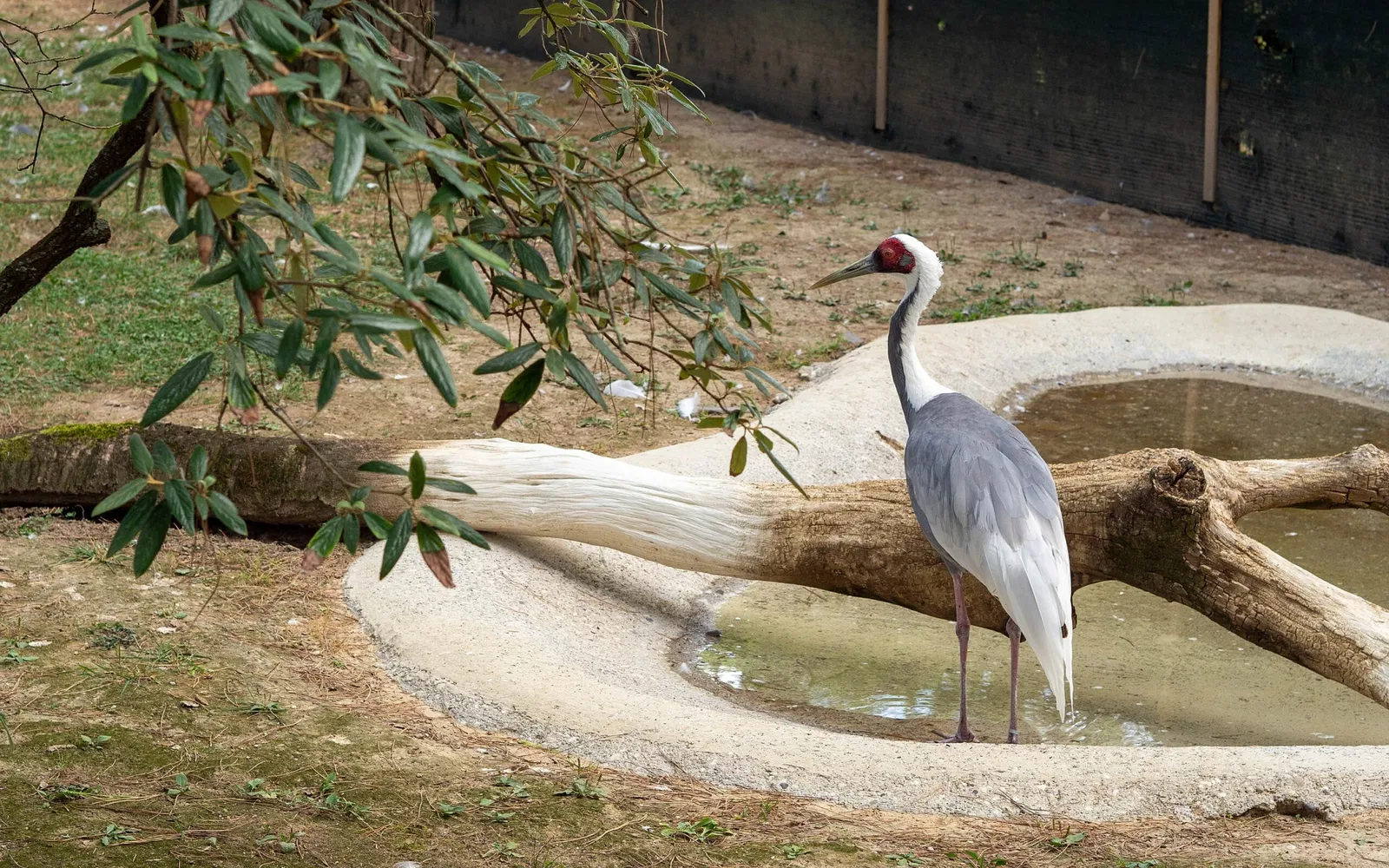 Punta Verde Zoo Park