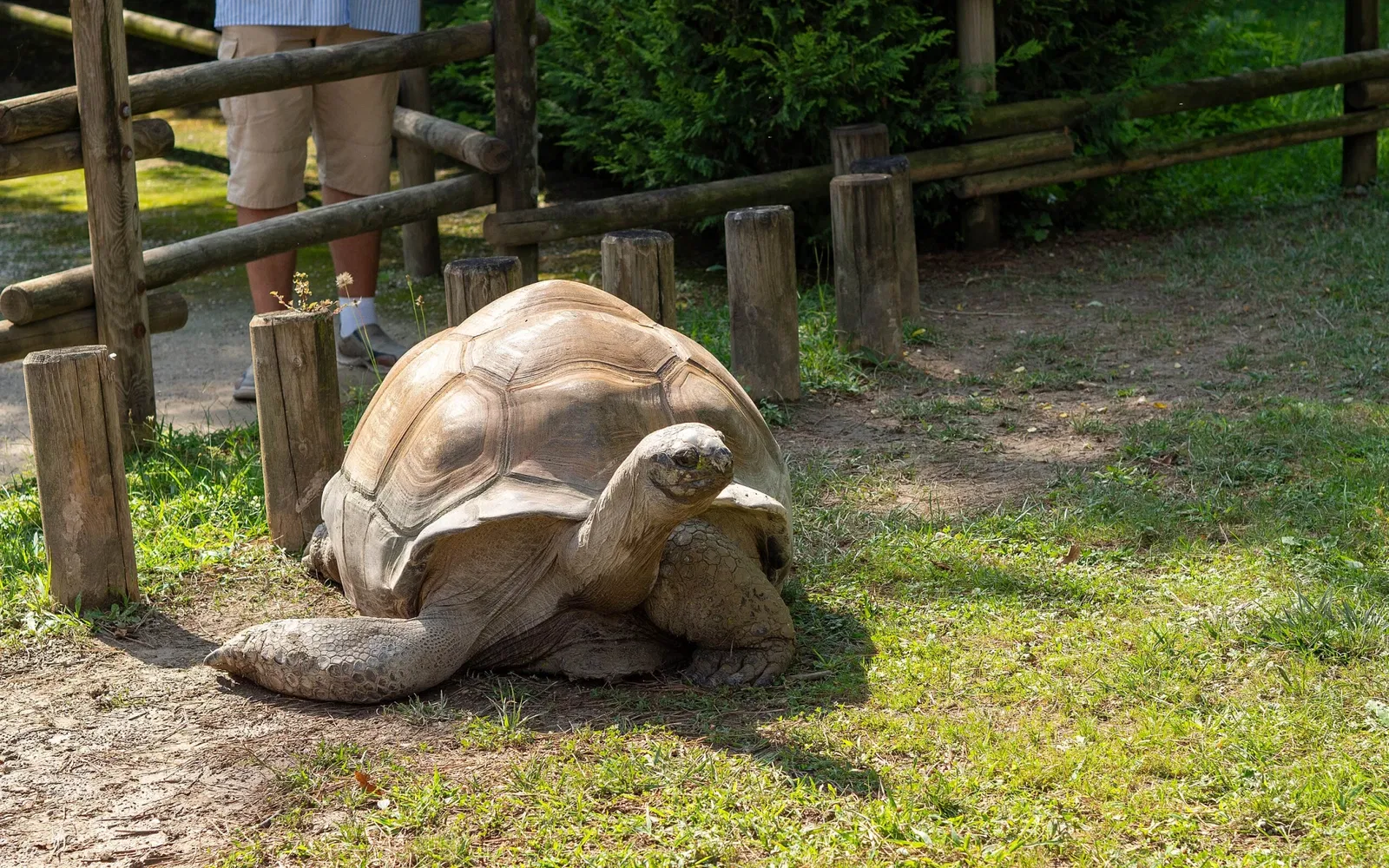 Punta Verde Zoo Park