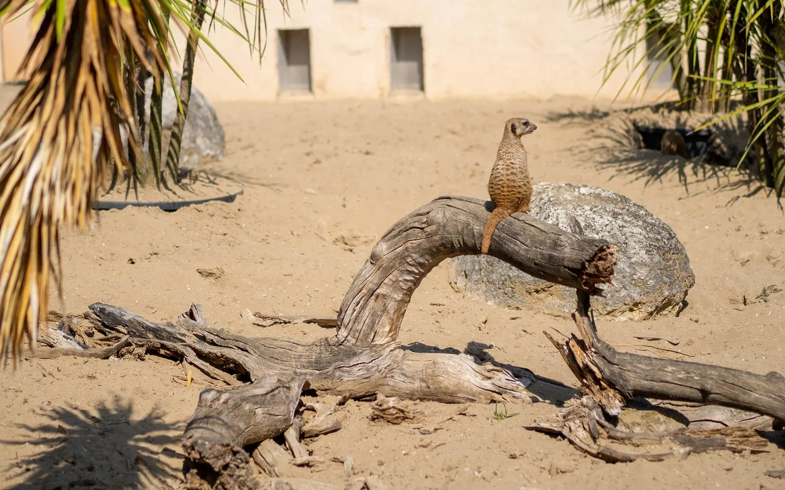 Punta Verde Zoo Park