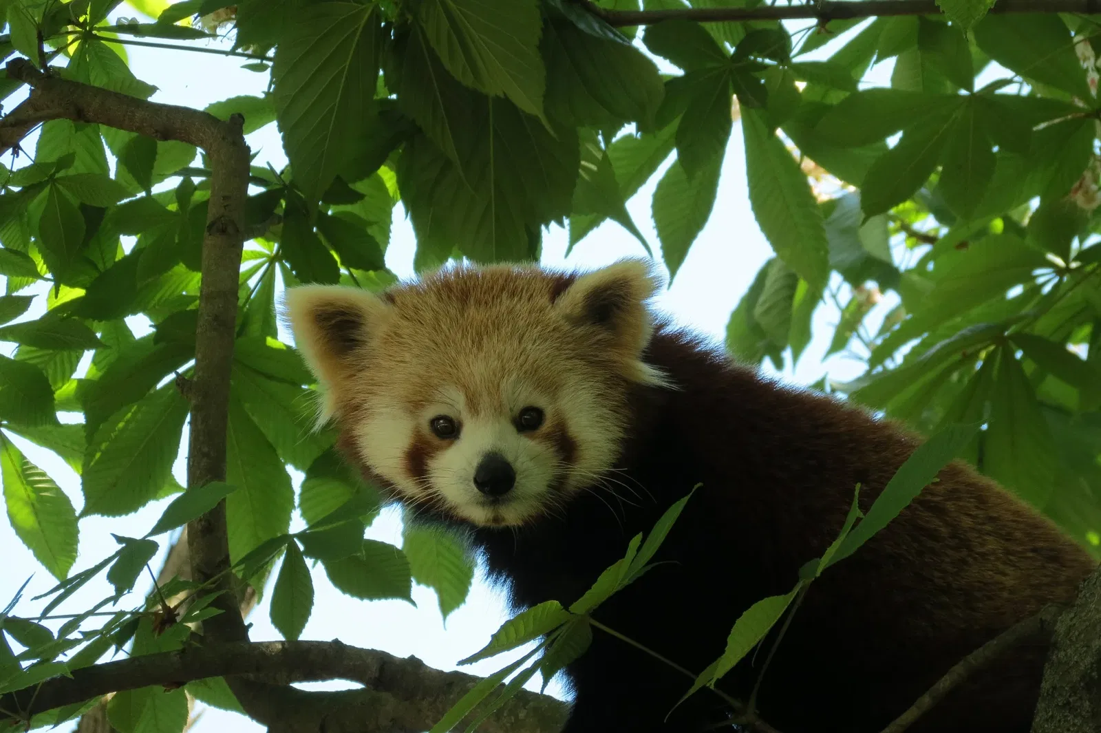 Punta Verde Zoo Park