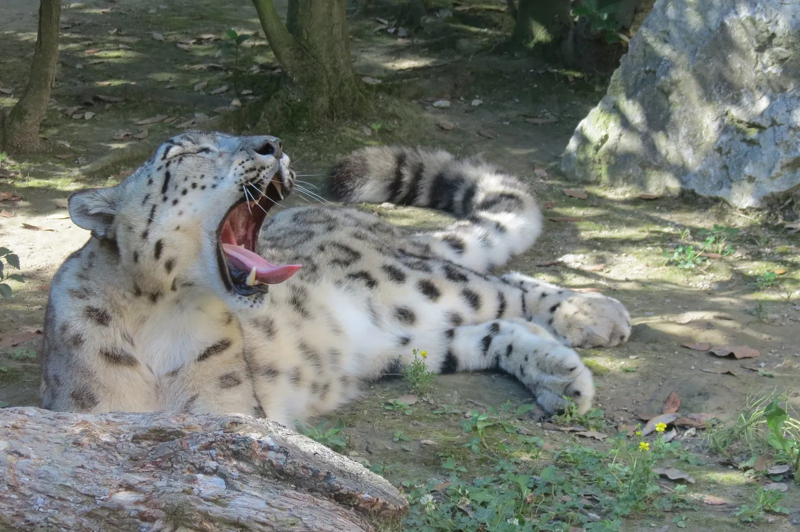 Punta Verde Zoo Park