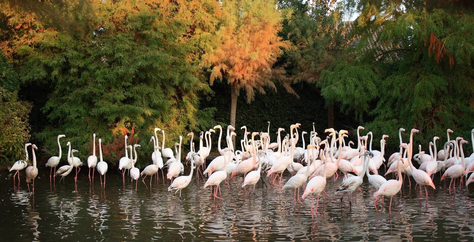 Punta Verde Zoo Park