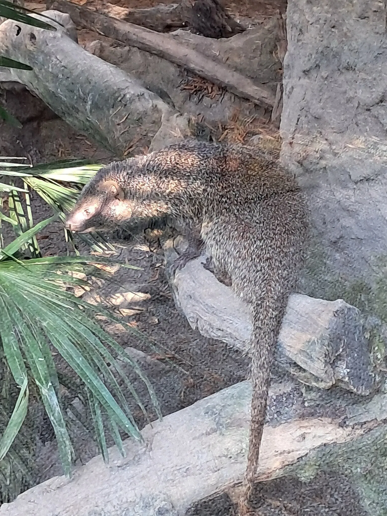 Cappeller Fauna Park