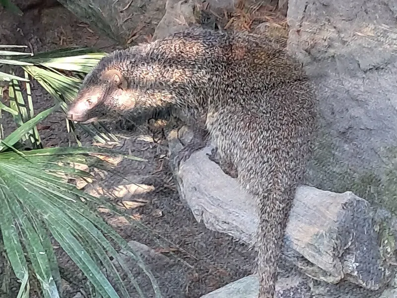 Fauna R Cappeller Fauna Park (Cartigliano) - Bezoekersinformatie & Recensies